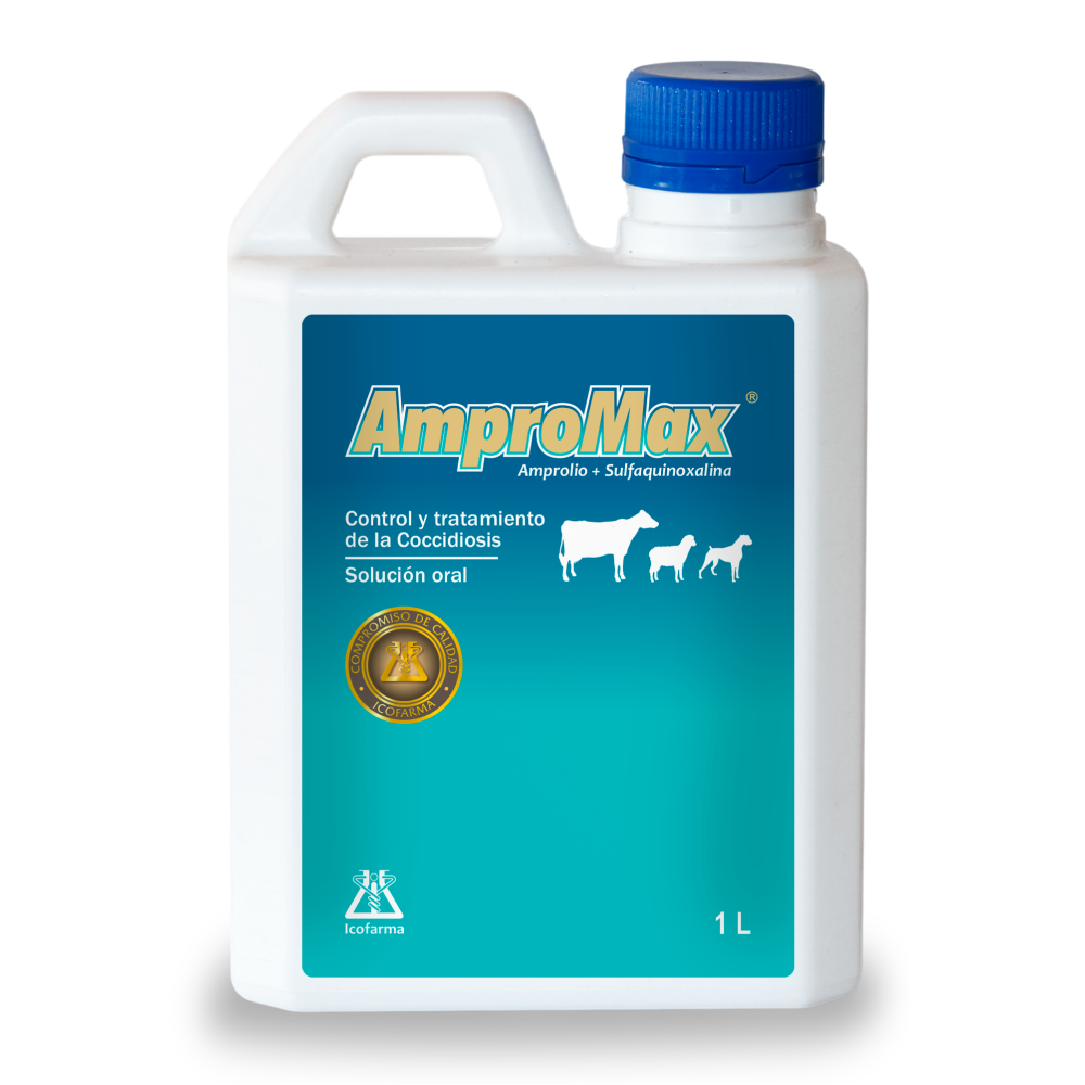 AmproMax solucion