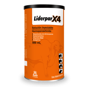 Liderpar X4